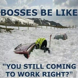 Bosses on snow days