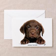 Chocolate Labrador Retriever puppy 9Y270D-050 Gree for