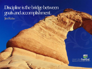 Discipline is the bridge between goals and accomplishment. Jim Rohn