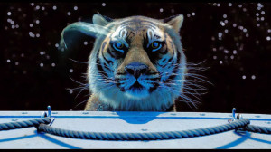 Best Quotes From Movie Life Of Pi ~ Peliculas on Pinterest | 422 Pins