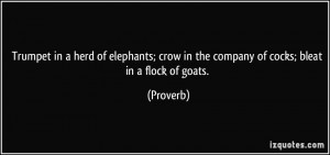 ... ; crow in the company of cocks; bleat in a flock of goats. - Proverbs
