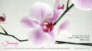 ... images of orchid wallpapers beautiful orchids in widescreen wallpaper
