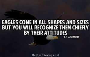 Eagle Quotes and Sayings