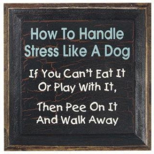 Handle stress like a dog