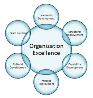Organizational Development Techniques