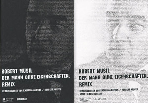 Robert Musil Der Mann ohne Eigenschaften Remix Buch 20 CDs