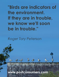 Birds are indicators of the environment.If they are in trouble,we know ...