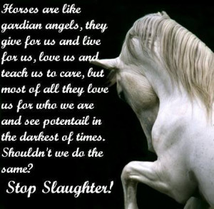 Stop Slaughter - against-horse-slaughter Fan Art