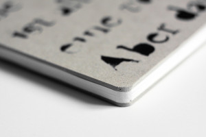 ... quote comes from L. Wittgenstein, Philosophical Investigations §133