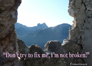 Don’t try to fix me, I’m not broken…