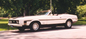 view original image )