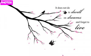 Next Photos » « Previous Photos