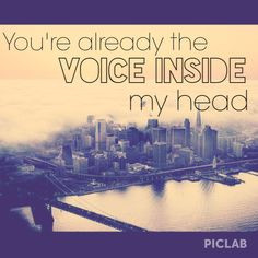 ... already the voice inside my head. I miss you. Blink 182 lyrics quotes