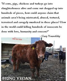 Gary Yourofsky on Being Vegan http://blog.dremata.com/5-ardent ...