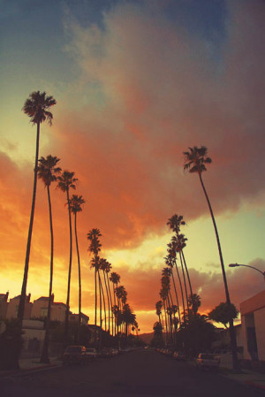 tumblr_lhs2unkfwD1qbkqluo1_500