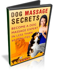 200 x 241 · 19 kB · jpeg, Dog Massage