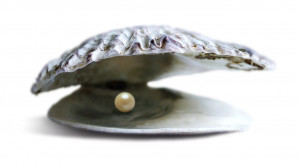 grain of sand in an oyster from which the oyster produces a pearl ...