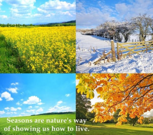 ... quotes-quotations-quotes-of-the-day-roxanajones-com-ever-changing