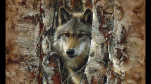 wolf-spirit - friendship, white, grey wolf, wild animal black, quotes ...