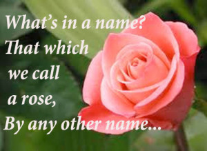 Best Shakespeare Quote, a rose by any other name