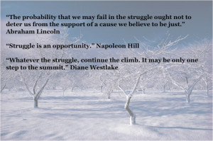 Struggle Quotes (18)