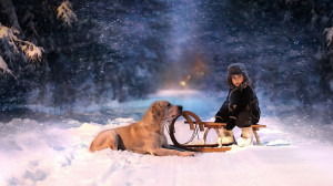 ... night lights animals dogs children mood fun sled vehicles friends love