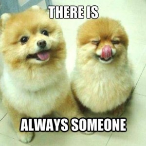 Privacy Policy / Sitemap / Contact