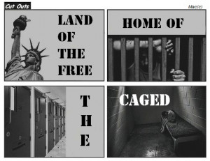 ... STRIP - 'Cut Outs' , freedom , solitary confinement , US prisons