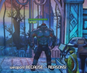 Borderlands 2: Because--REASONS
