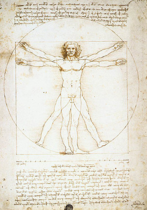 Leonardo da Vinci Drawing - Vitruvian Man