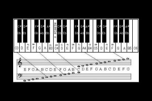 Music Quotes Theory Quoteko