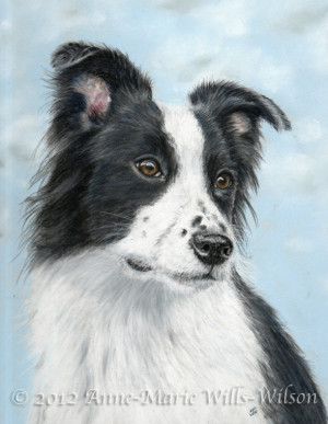 Anne Marie Wills Wilson Animal Portraits