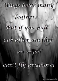 Angel Feather Quotes http://www.pic2fly.com/Angel+Feather+Quotes.html