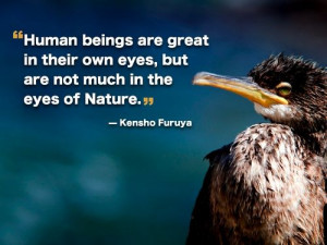 Birds Quotes Graphics