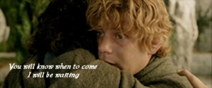 Frodo-gives-Sam-hope-frodo-and-sam-9449282-1024-430.jpg