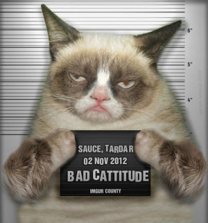 Finally, Your Time Has Come Grumpy Cat!