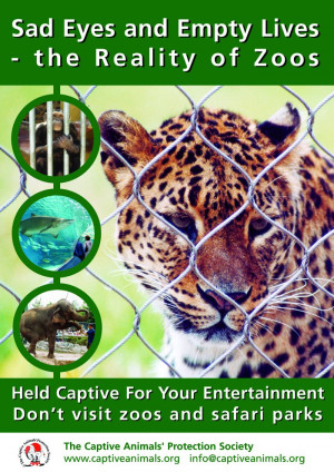 Zoo Factsheet (A4) – Quote Code: ZOOFS0206