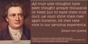 Quote on thoughts from Johann von Goethe
