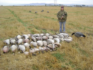 My girl friend and her first green head with alot of dead geese
