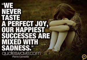 ... taste a perfect joy; our happiest successes are mixed with sadness
