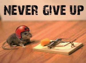Never-Give-Up