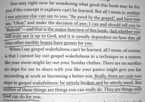 Quotes From the Outsiders Book