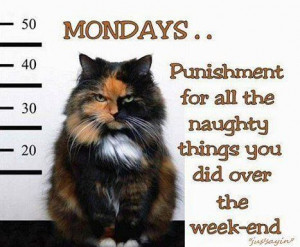 Cum v-ati petrecut weekend-ul? Pana la urmatorul week-end va dorim o ...