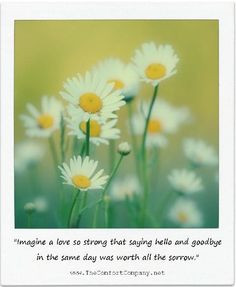 Comforting Sympathy and Grief Quotes