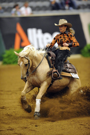 Galleries Related: Reining Horse Quotes , Horse Quotes ,