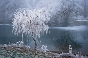 Frosty Morning on the Rhine Photographed by Patrick Hübschmann by ...