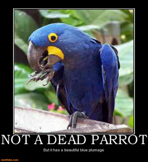 not-a-dead-parrot-parrot-monty-python-demotivational-posters ...
