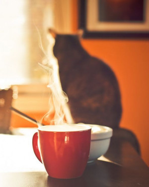 Winter Mornings Coffee, Good Mornings, Mornings Coffee Photography ...