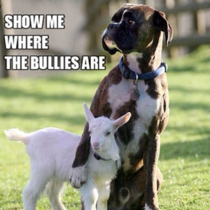 used to be a bully now I'll do what I can to stop it..