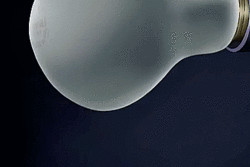 senpai Takashi Mori Morinozuka Mitsukuni Honey Haninozuka Kyoya senpai ...